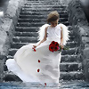 Foto de dresde