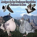 buchonesderaza