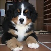 Foto de Merlin_madrid