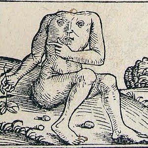 Foto del usuario