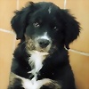 Foto de CLARALUZGF