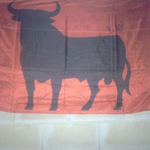 Foto del usuario