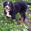 ltima foto del fotolog de Loretha