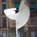 Marola24