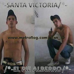 Foto del usuario