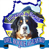 Foto de amigosboyerossuizos