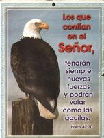 Foto del usuario