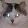Foto de arimy20