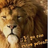 Foto de garttzy