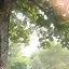 SaanTeeH