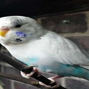 Foto del usuario