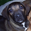 ltima foto del fotolog de rustyjuan64