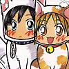 Foto de cat.eiko