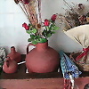 Foto de zambomboamaro