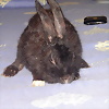 Foto de KENYSOFI