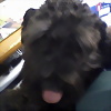 Foto de agustin1464
