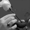 ltima foto del fotolog de zolo_leidy