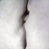 Foto de Pacoow