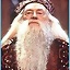 Dumbledore_88