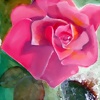 Foto de lubna39