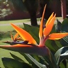 ApolonioDeRodas